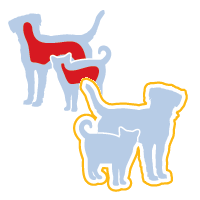 art796 protection chiens chats vers puces parasites