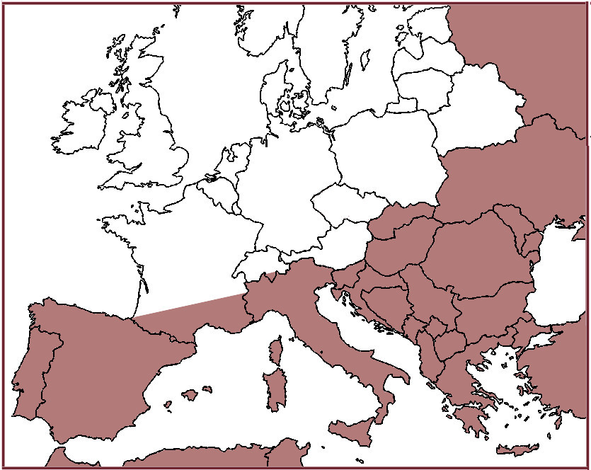 La dirofilariose, vers du coeur, en Europe